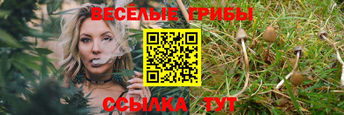 Галлюциногенные грибы мицелий Батайск